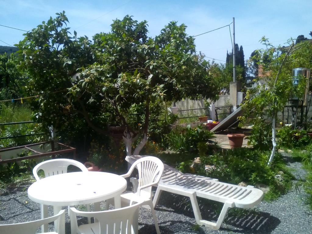 Paradise Apartment *