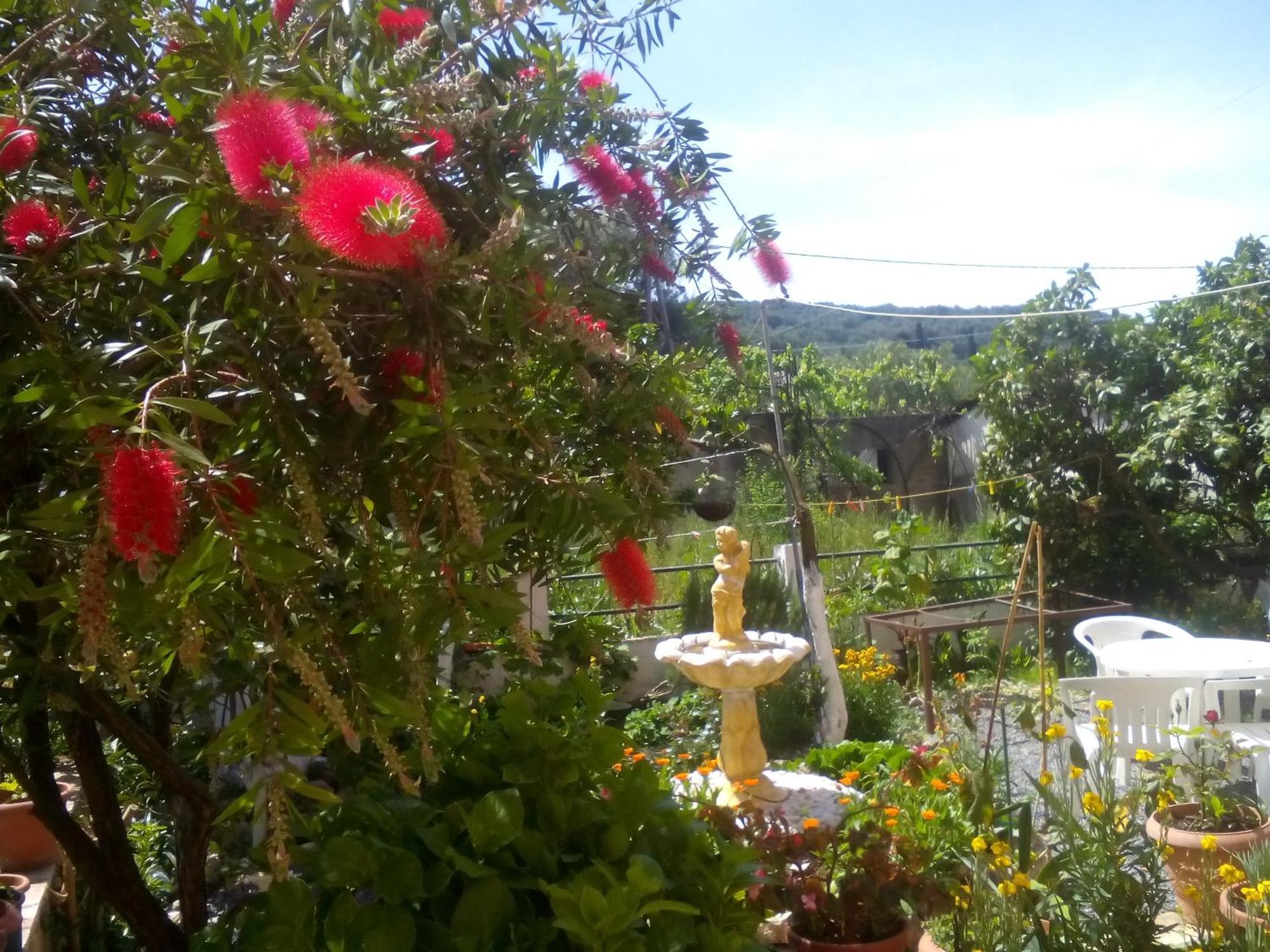 Paradise *
