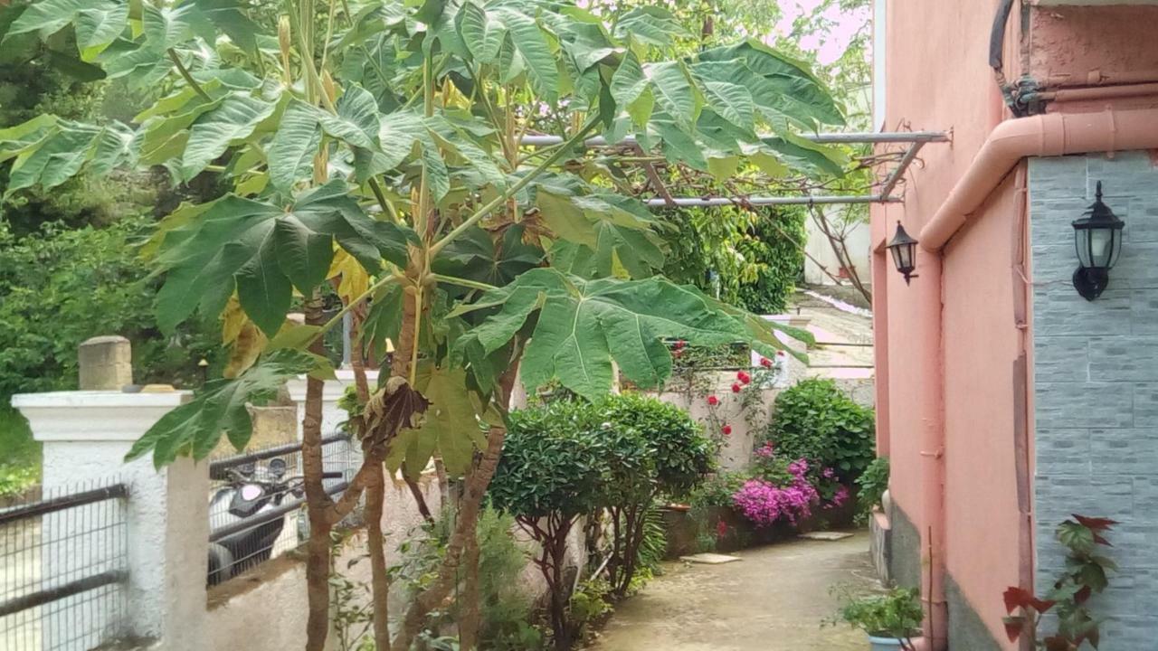 Paradise
